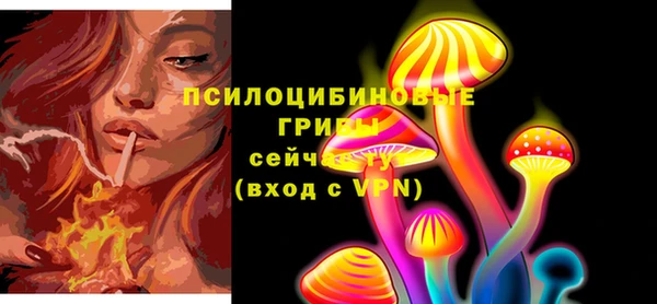 круглые Алзамай